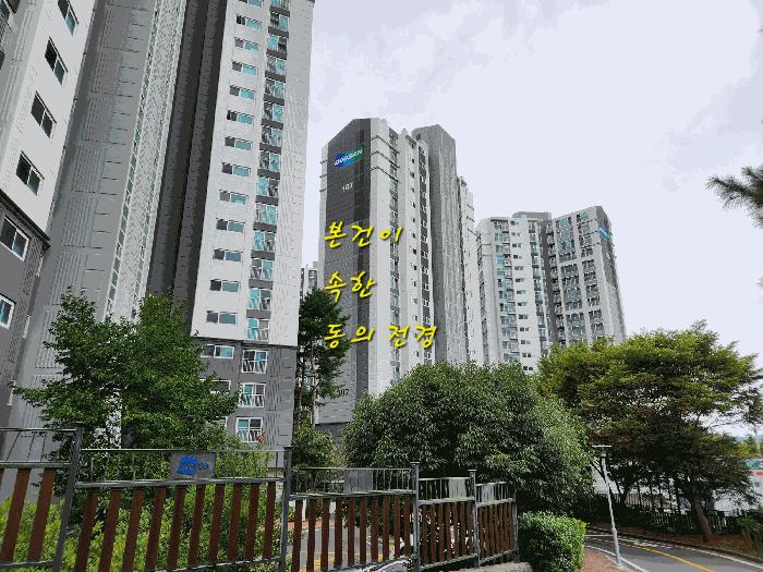 2025타경31243 법원경매 사진3 | 경남 진주시 아파트 경매