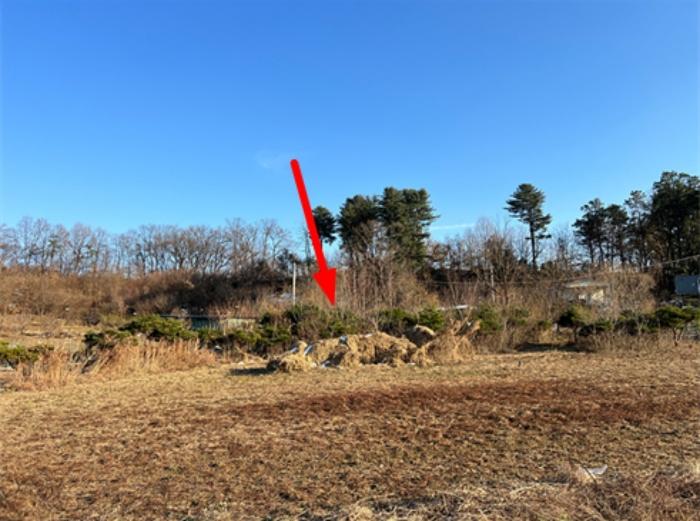 법원경매 2024타경41371 사진4 | 양평군 양평읍 도곡리 464 임야 경매