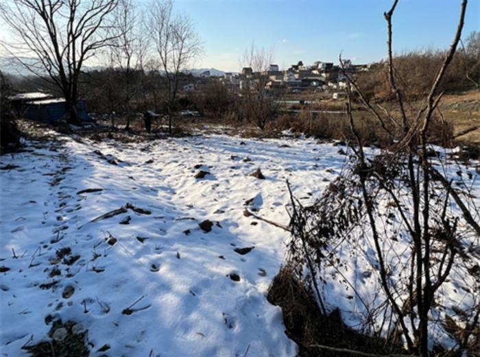 법원경매 2024타경41371 사진5 | 양평군 양평읍 도곡리 464 임야 경매