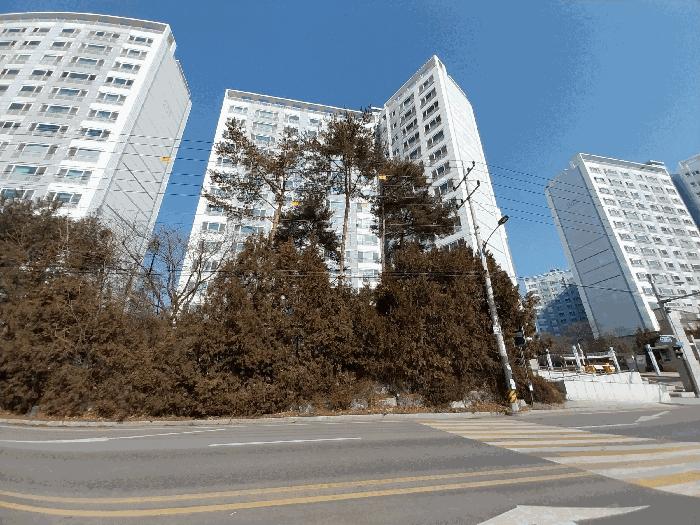 법원경매 2025타경216 사진6 | 양평군 강상면 강남로 아파트 경매