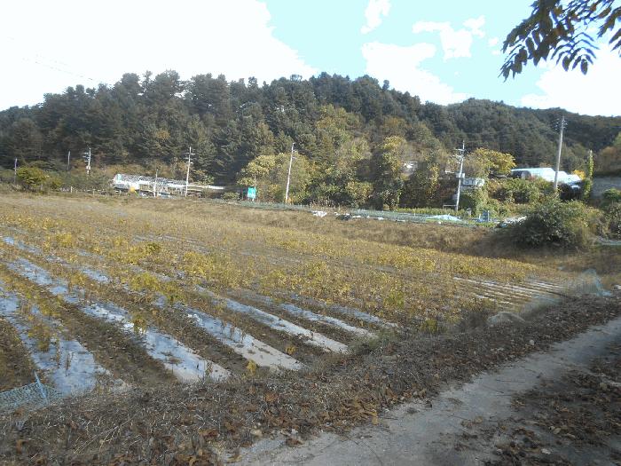 강원특별자치도 철원군 근남면 잠곡리 1015 법원경매 물건 대표사진