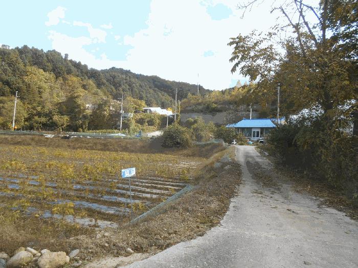 법원경매 2025타경4780 사진3 | 철원군 근남면 잠곡리 1015 답 경매