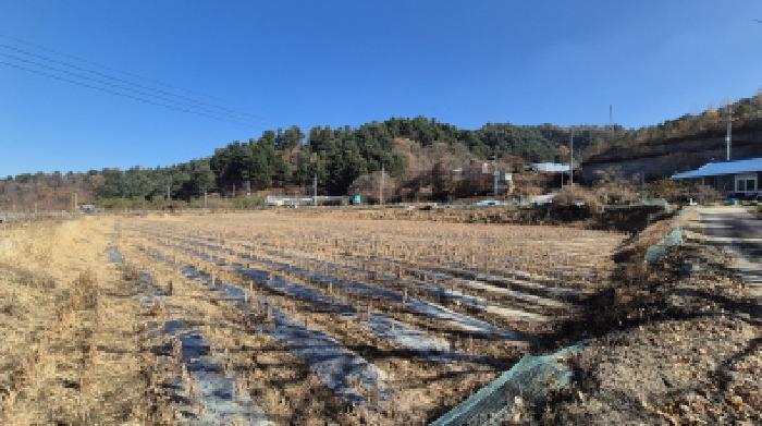 법원경매 2025타경4780 사진5 | 철원군 근남면 잠곡리 1015 답 경매