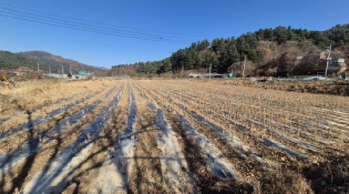 법원경매 2025타경4780 사진7 | 철원군 근남면 잠곡리 1015 답 경매