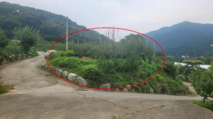 경기도 양평군 용문면 연수리 455-6 법원경매 물건 대표사진