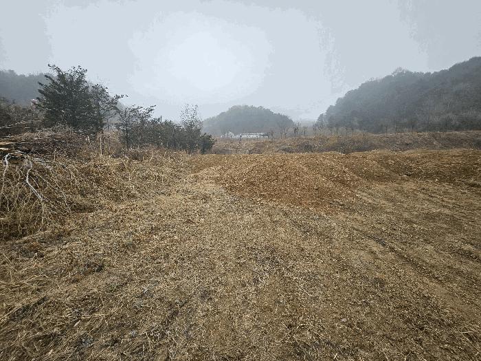 법원경매 2025타경850 사진11 | 가평군 설악면 천안리 206 답 경매