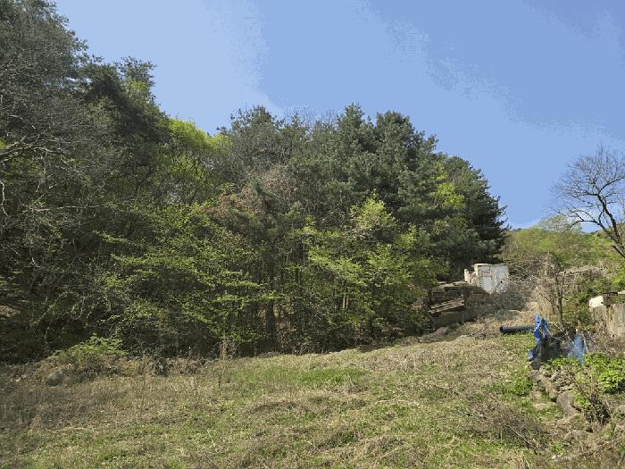 법원경매 2025타경1167 사진3 | 남양주시 진접읍 장현리 임야 경매