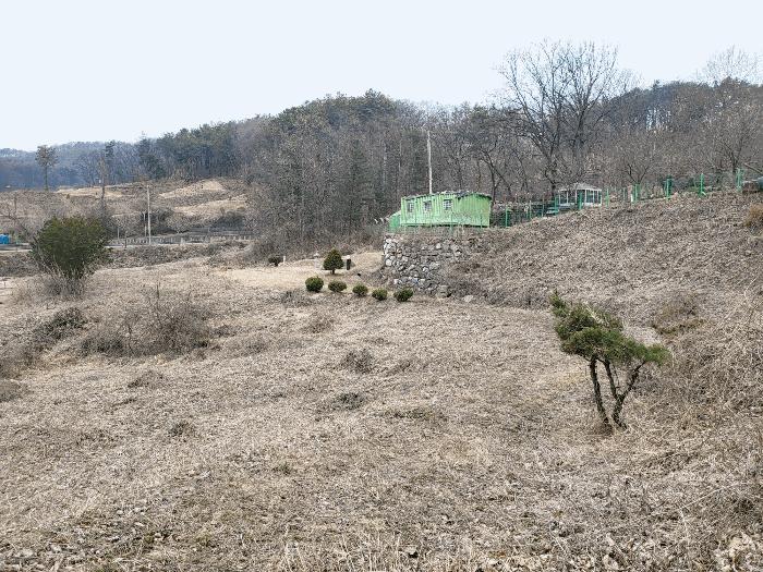 법원경매 2024타경5351 사진11 | 양평군 강상면 세월리 561-3 전답 경매