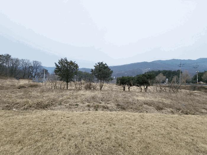 법원경매 2024타경5351 사진2 | 양평군 강상면 세월리 561-3 전답 경매
