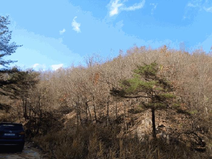 법원경매 2025타경296 사진5 | 고성군 현내면 사천리 임야 경매