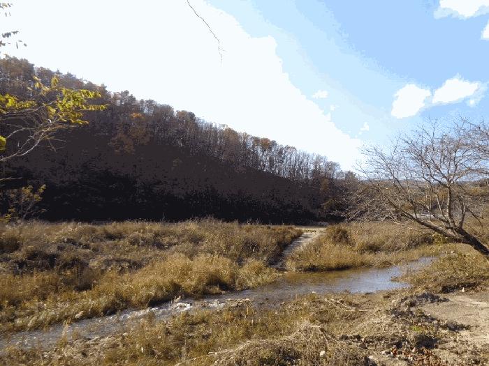 법원경매 2025타경296 사진8 | 고성군 현내면 사천리 임야 경매