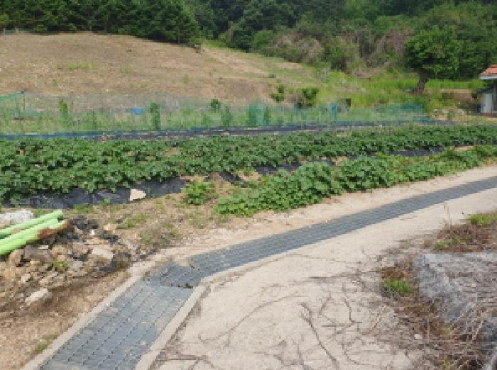 2025타경71698 법원경매 사진13 | 경기 가평군 임야 경매