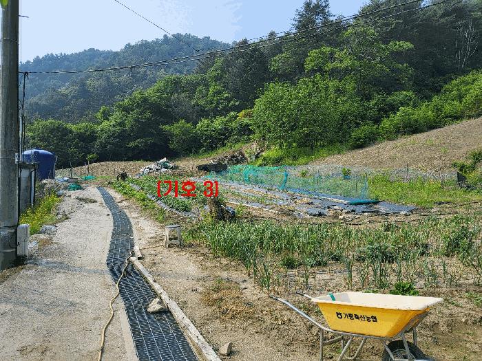 2025타경71698 법원경매 사진2 | 경기 가평군 임야 경매