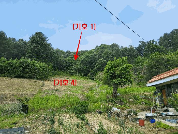 2025타경71698 법원경매 사진3 | 경기 가평군 임야 경매