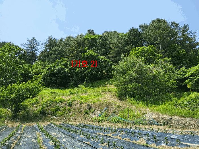 2025타경71698 법원경매 사진5 | 경기 가평군 임야 경매