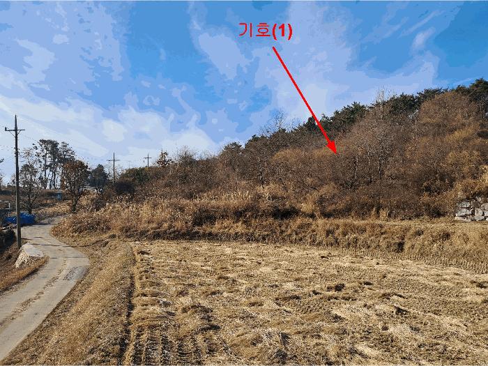 2025타경1648 법원경매 사진3 | 울산 울주군 임야 경매