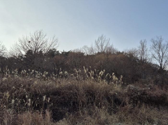 2025타경1648 법원경매 사진5 | 울산 울주군 임야 경매