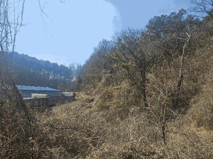 법원경매 2025타경1180 사진2 | 파주시 탄현면 임야 경매