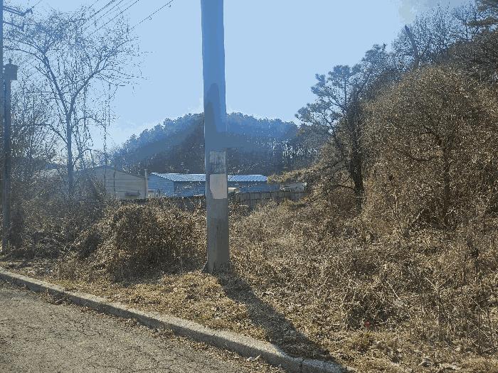 법원경매 2025타경1180 사진4 | 파주시 탄현면 임야 경매
