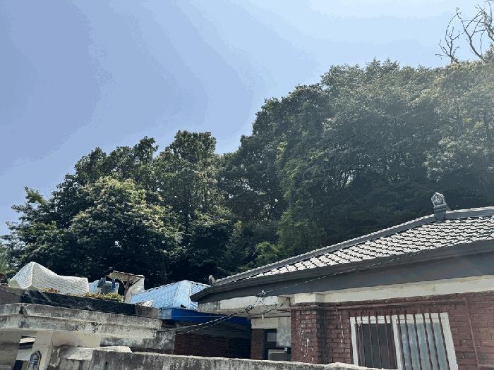 법원경매 2025타경2770 사진2 | 고양시 덕양구 고양동 52-13 임야 경매