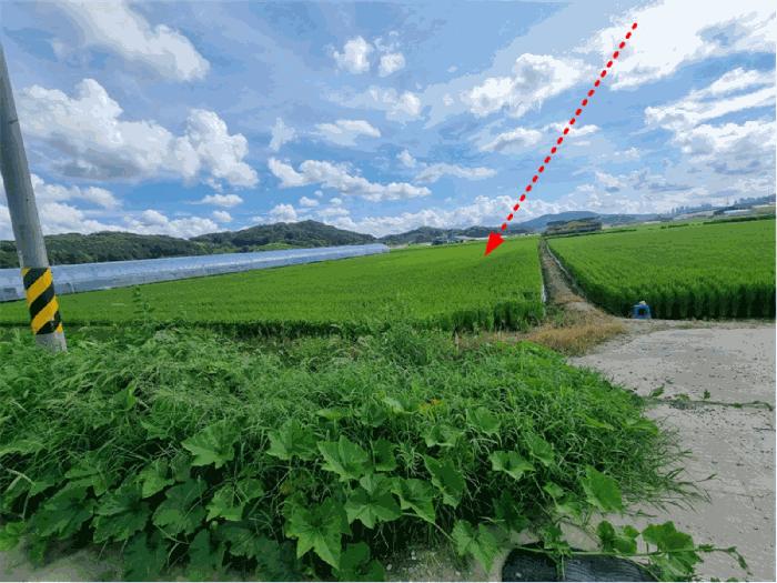 충청남도 연기군 동면 문주리 970-5 법원경매 물건 대표사진