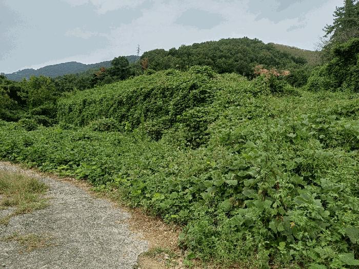 경상남도 김해시 주촌면 덕암리 55 법원경매 물건 대표사진