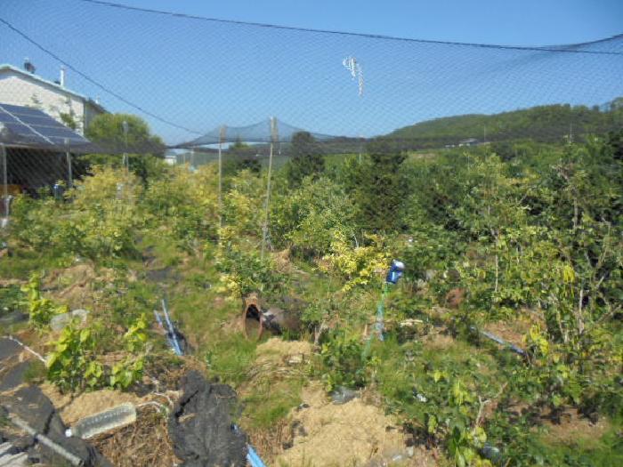 2025타경3053 법원경매 사진7 | 청주 상당구 임야 경매