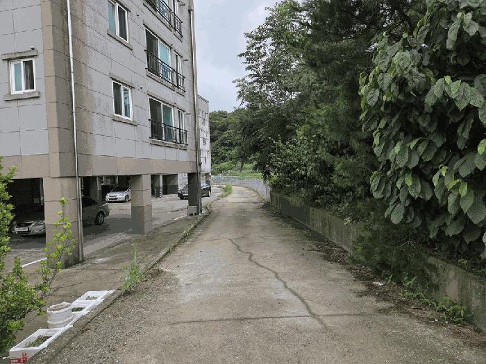 2025타경502816 법원경매 사진8 | 세종 장군면 다가구주택 경매