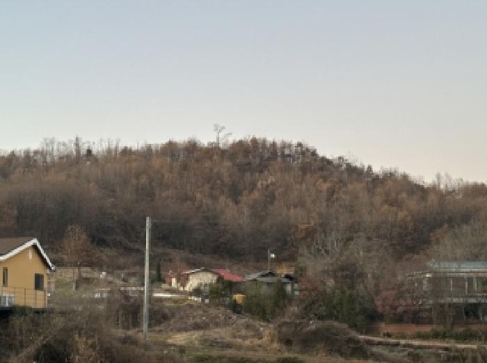 2025타경51918 법원경매 사진5 | 충북 괴산군 임야 경매