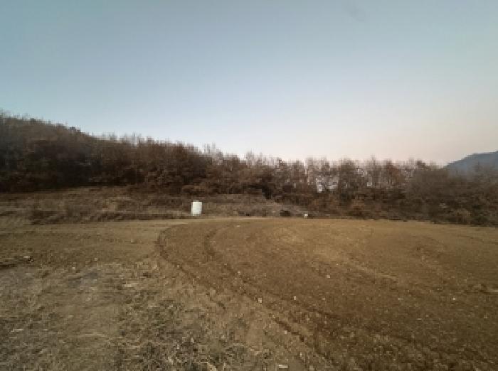 2025타경51918 법원경매 사진6 | 충북 괴산군 임야 경매