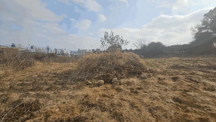 2025타경51928 법원경매 사진3 | 청주 서원구 전 경매