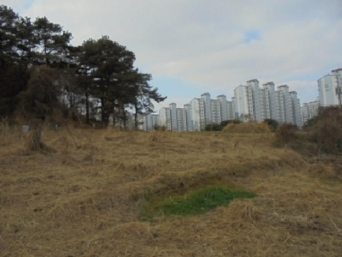 2025타경51928 법원경매 사진5 | 청주 서원구 전 경매