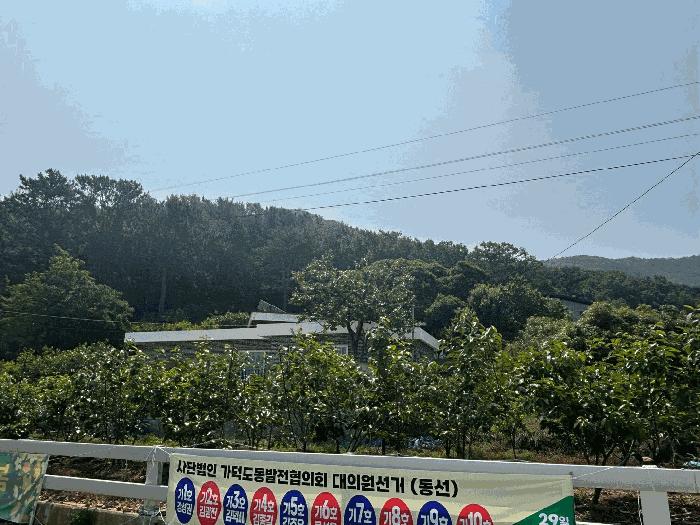 법원경매 2025타경101442 사진11 | 부산 강서구 동선동 177 대지 경매
