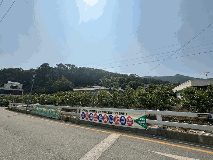 법원경매 2025타경101442 사진4 | 부산 강서구 동선동 177 대지 경매