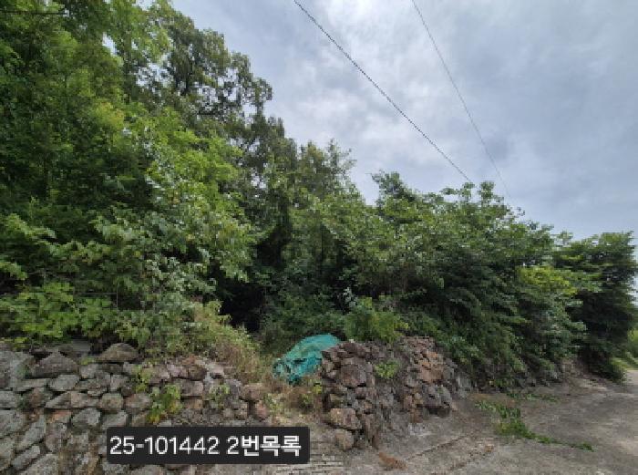 법원경매 2025타경101442 사진7 | 부산 강서구 동선동 179 대지 경매