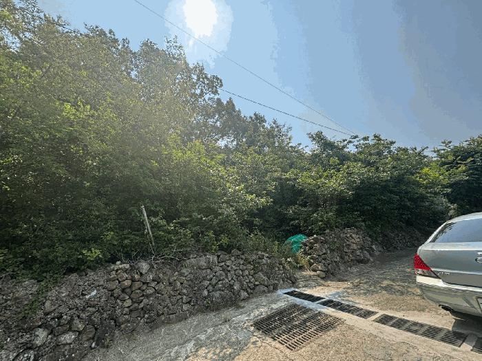 부산광역시 강서구 동선동 산11 법원경매 물건 대표사진
