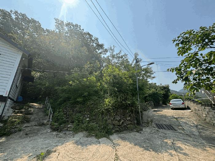 법원경매 2025타경101442 사진3 | 부산 강서구 동선동 임야 경매