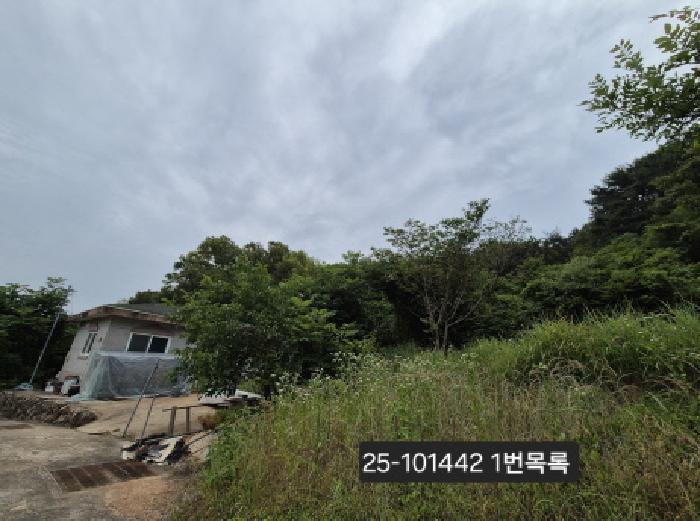 법원경매 2025타경101442 사진6 | 부산 강서구 동선동 임야 경매