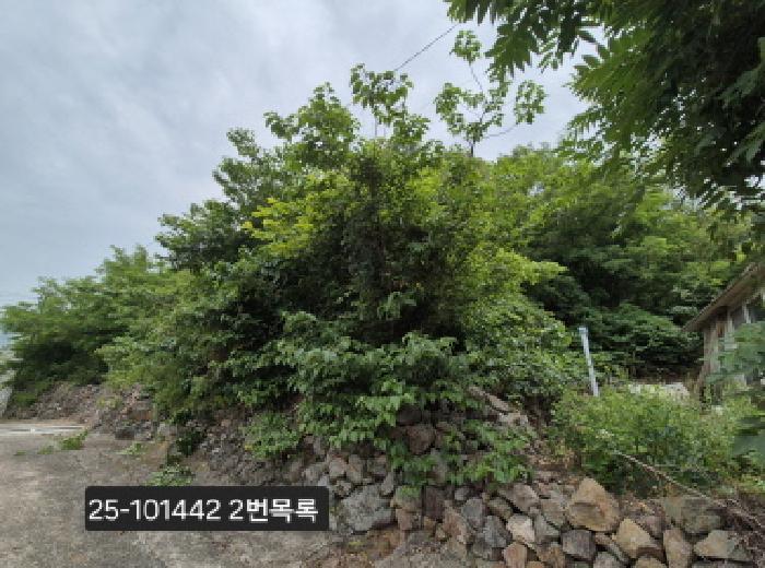 법원경매 2025타경101442 사진8 | 부산 강서구 동선동 임야 경매