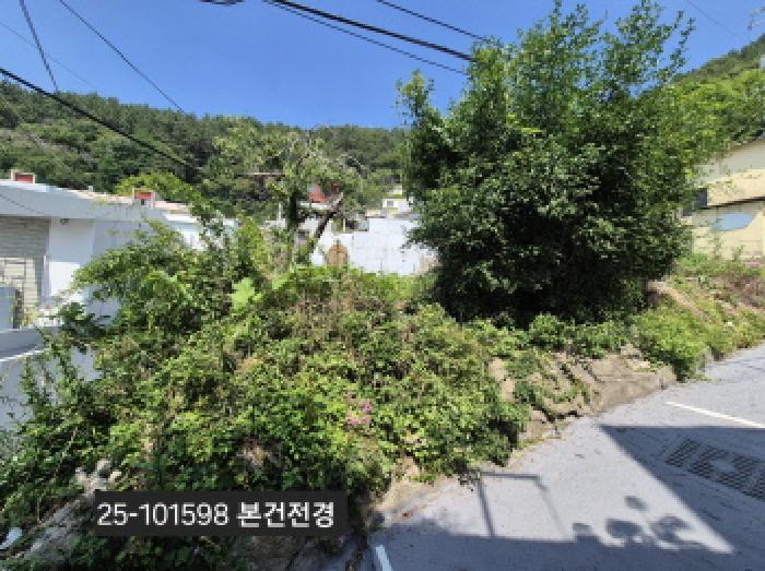 법원경매 2025타경101598 사진5 | 부산 사하구 괴정동 임야 경매