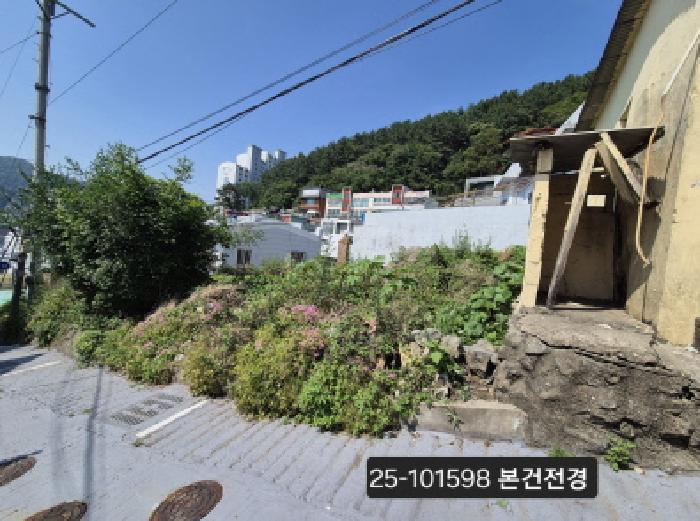 법원경매 2025타경101598 사진6 | 부산 사하구 괴정동 임야 경매