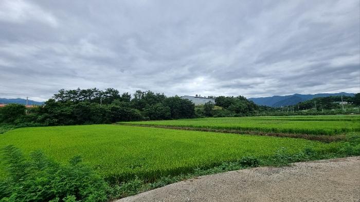 경상북도 영천시 화산면 대안리 1005-2 법원경매 물건 대표사진