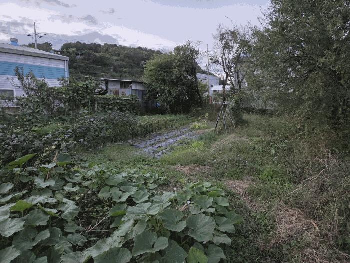 대구광역시 동구 둔산동 987 법원경매 물건 대표사진
