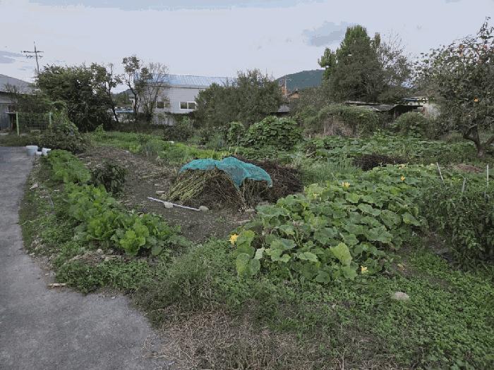 법원경매 2025타경8966 사진4 | 대구 동구 둔산동 987 대지 경매