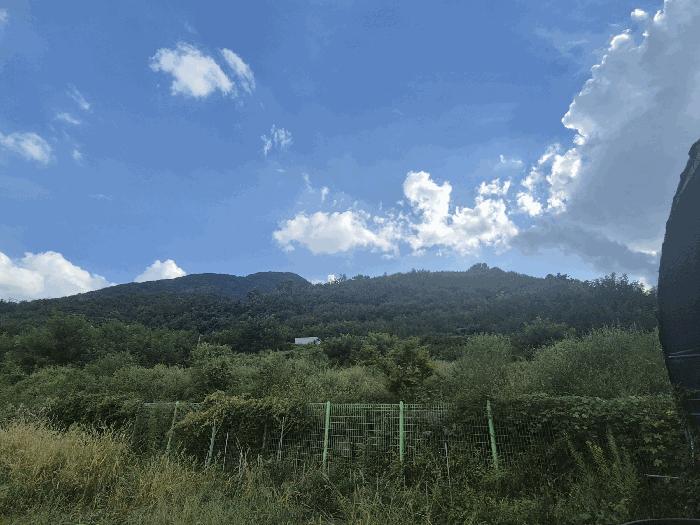 법원경매 2025타경9251 사진2 | 경산시 와촌면 신한리 231 전 경매