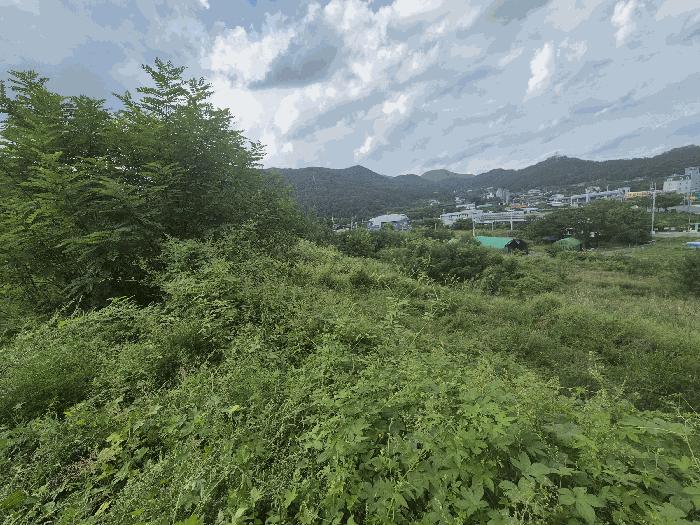 법원경매 2025타경9251 사진6 | 경산시 와촌면 신한리 231 전 경매