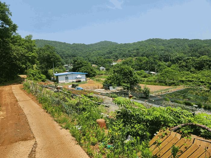2025타경1142 법원경매 사진4 | 인천 옹진군 전 경매