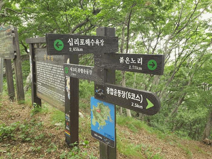 2025타경1383 법원경매 사진6 | 인천 옹진군 임야 경매