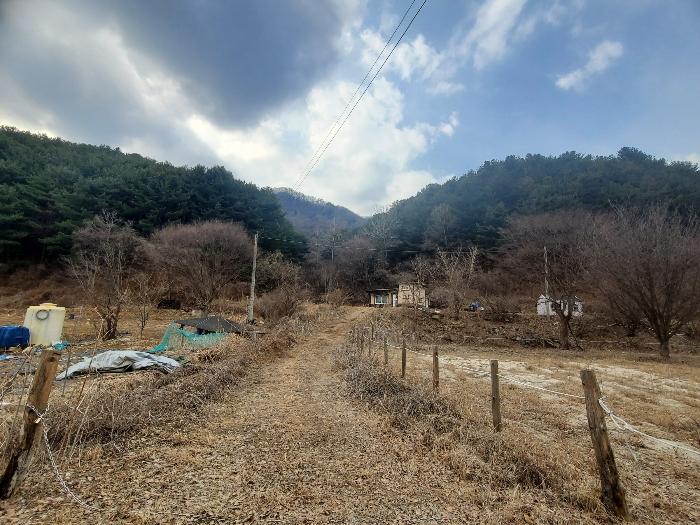법원경매 2024타경72144 사진2 | 포천시 관인면 사정리 임야 경매