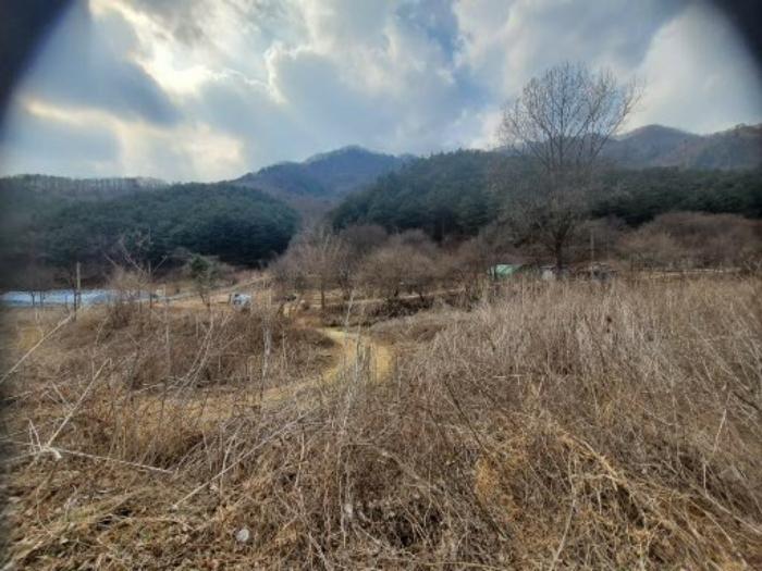 법원경매 2024타경72144 사진6 | 포천시 관인면 사정리 임야 경매
